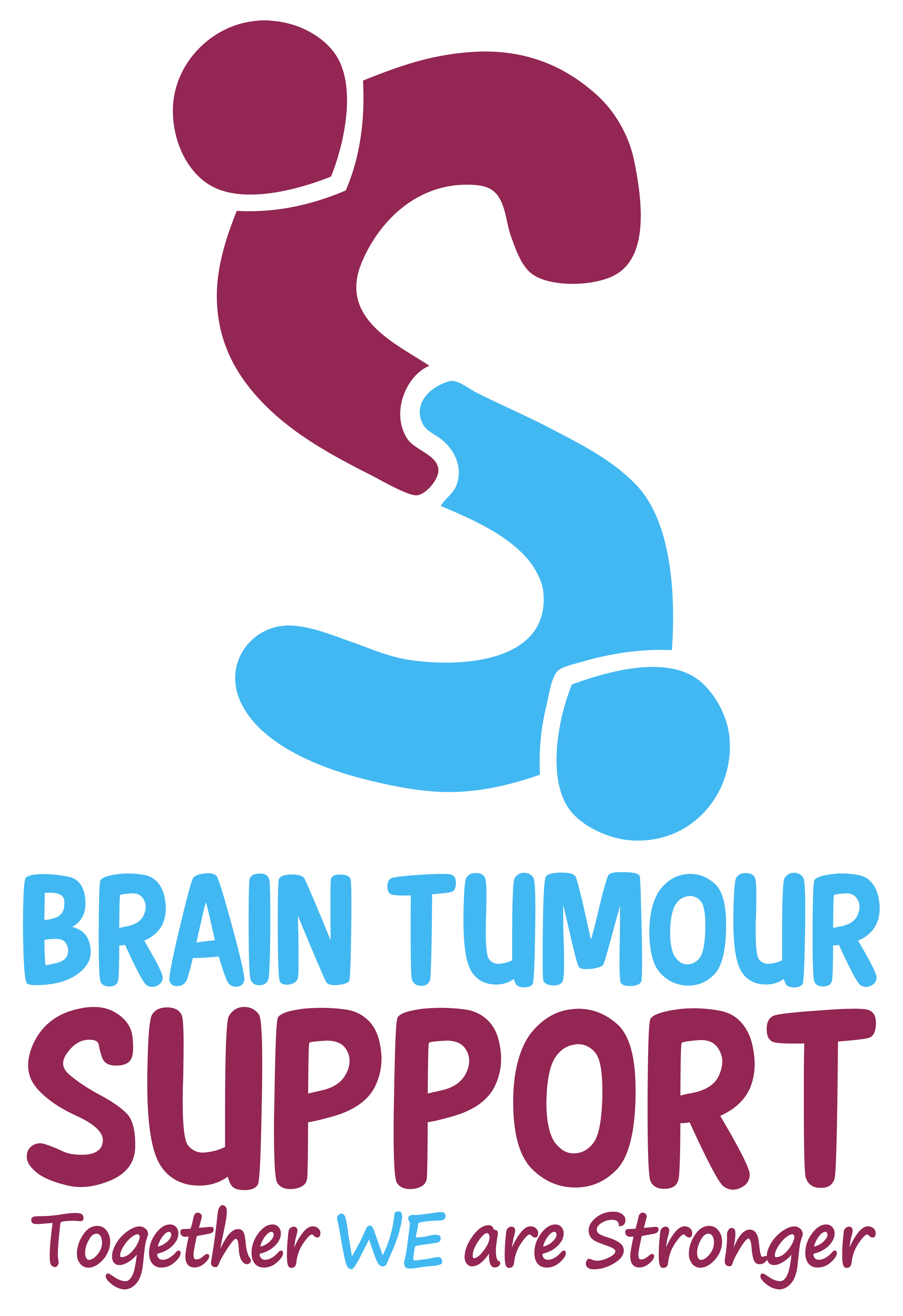 Brain Tumour Support Logo